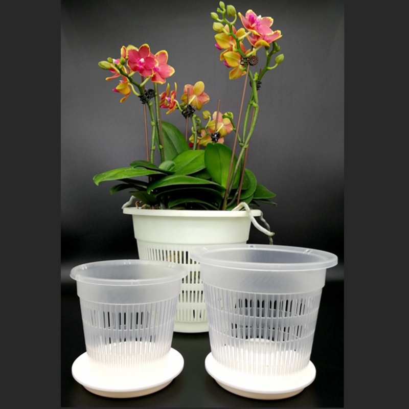 大客户蝴蝶兰专用控养根花盆铁皮石斛塑料透气卡特兰花盆