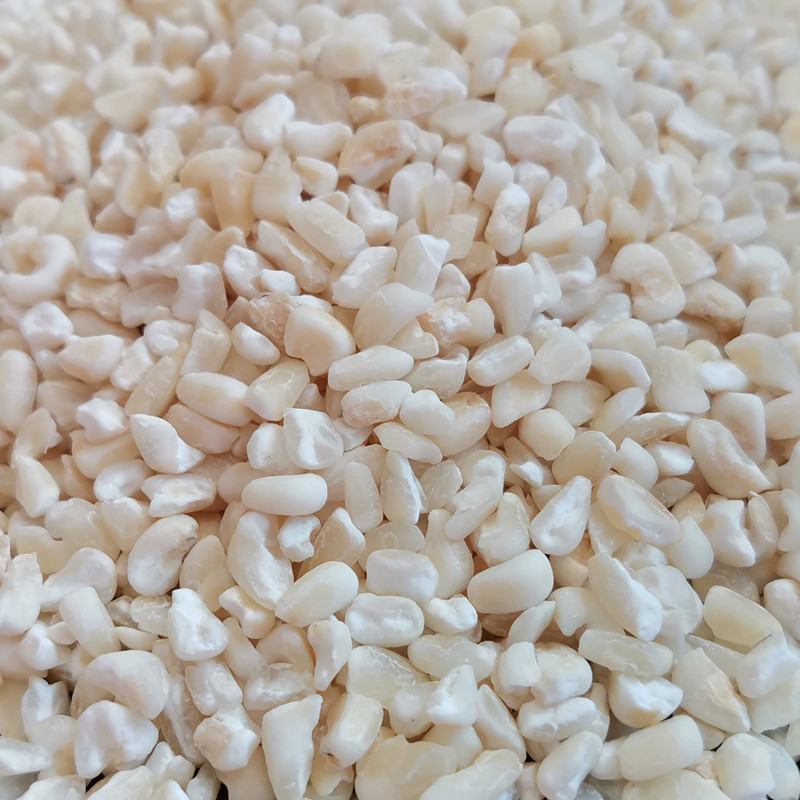 东北白粘大碴子2019新货吉林农家非转基因白黏苞米粘玉米碴粥500g