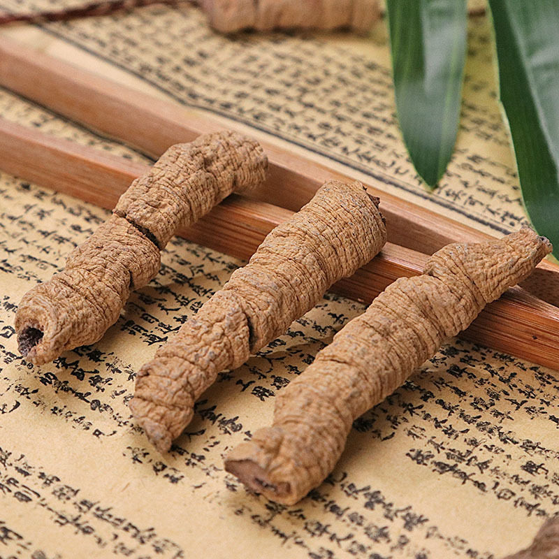 野生巴戟中药杜仲男性补酒药材新鲜煲汤巴戟天其他药食同源食品