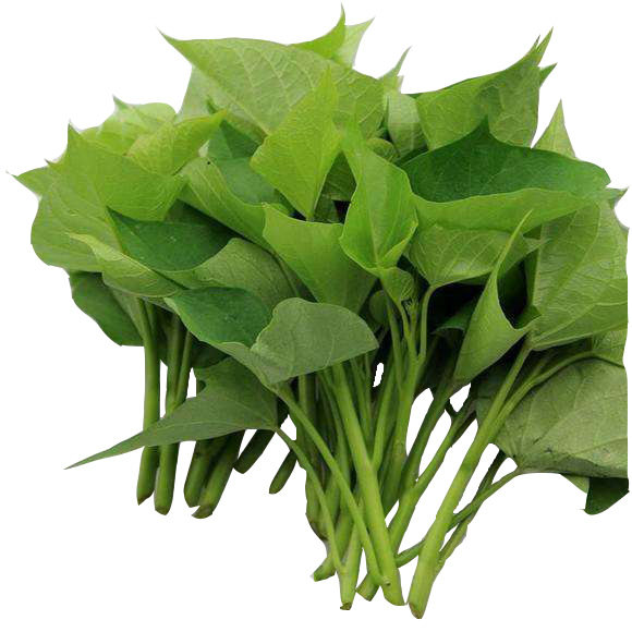 红薯尖嫩新鲜2斤包邮重庆农家蔬菜菜菜时令番薯