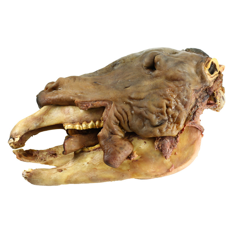 五香熟驴头带皮驴头全驴生鲜驴头驴肉开袋即食包驴肉