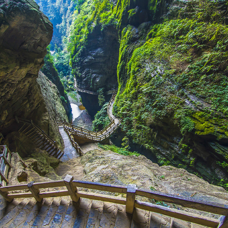 重庆旅游武隆纯一日游天生三桥天坑地缝仙女山跟团国内旅游境内跟团游