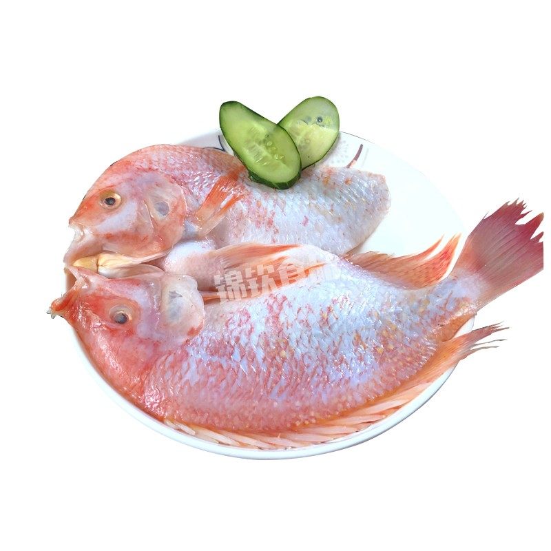 开背喜福整箱彩虹鲷红罗非新鲜冷冻调理腌制乡淡水鱼类