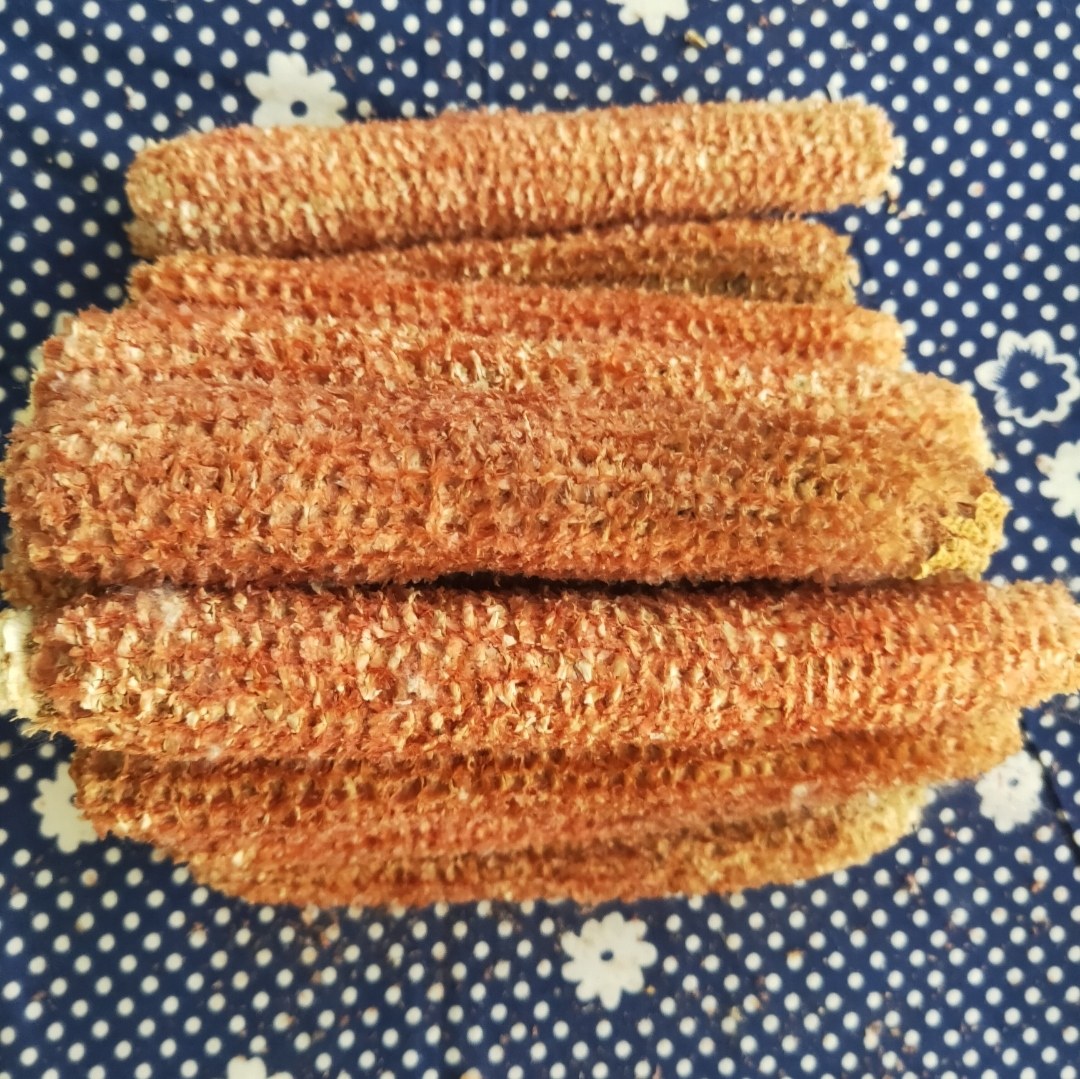 玉米玉米棒棒子干玉米芯磨牙幼儿园手工玩具宠物玉米