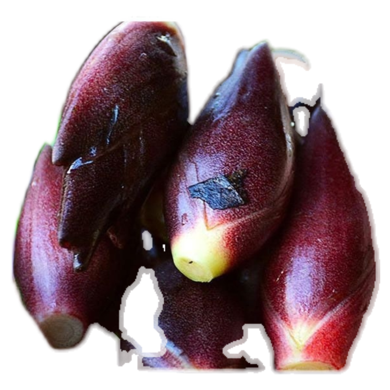 阳荷莲花3斤洋姜野菜姜茗荷姜薄荷姜莲花薄荷姜新鲜番薯