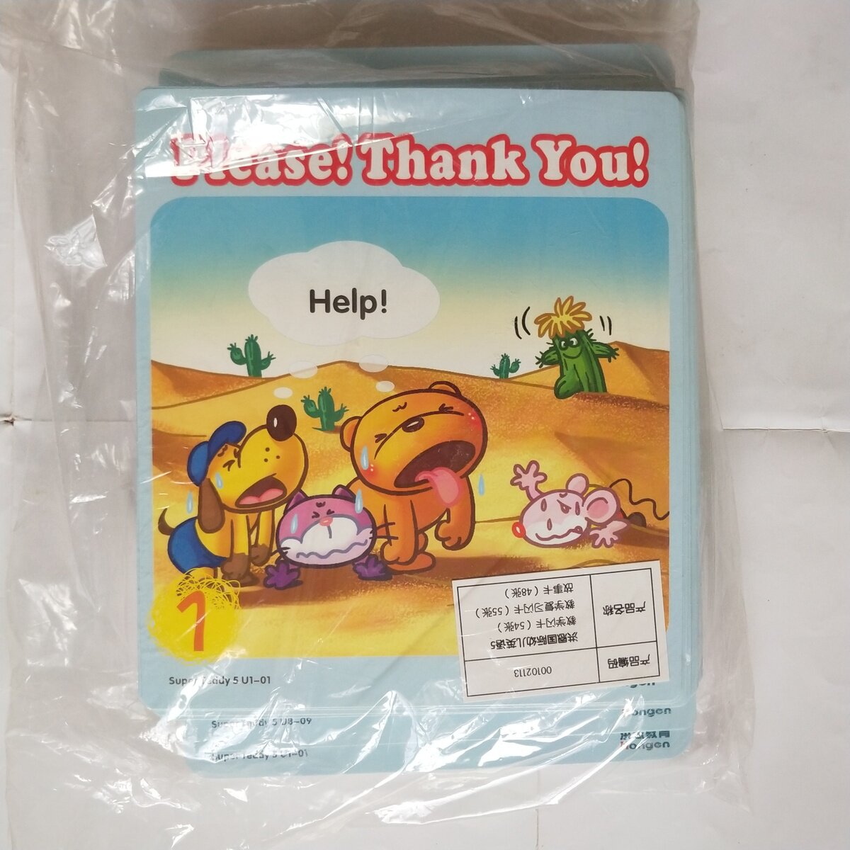 教学洪恩superteddy国际幼儿英语卡片挂图环境早教机