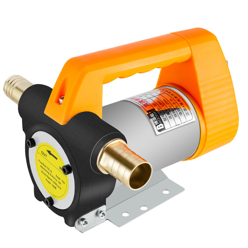 电动抽油泵12v24v220v小型自吸柴油油泵车载计量枪加油机抽油器