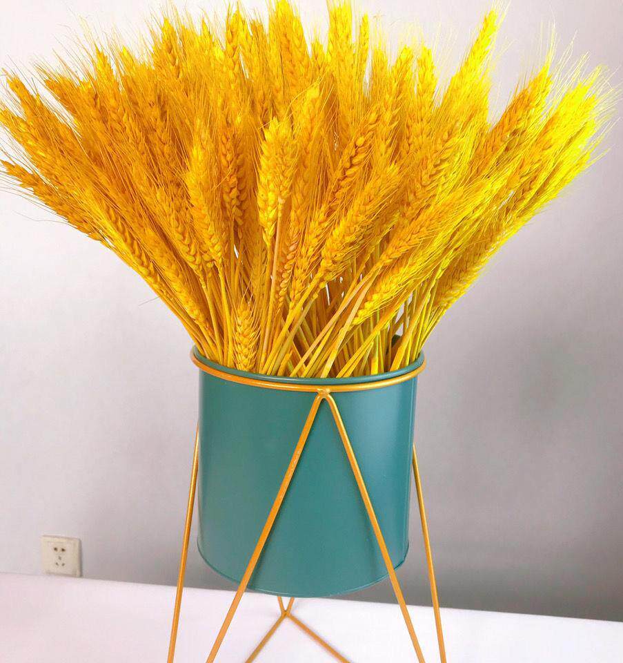 麦穗装饰花瓶插花大麦仿真稻穗开业装饰品麦子干花