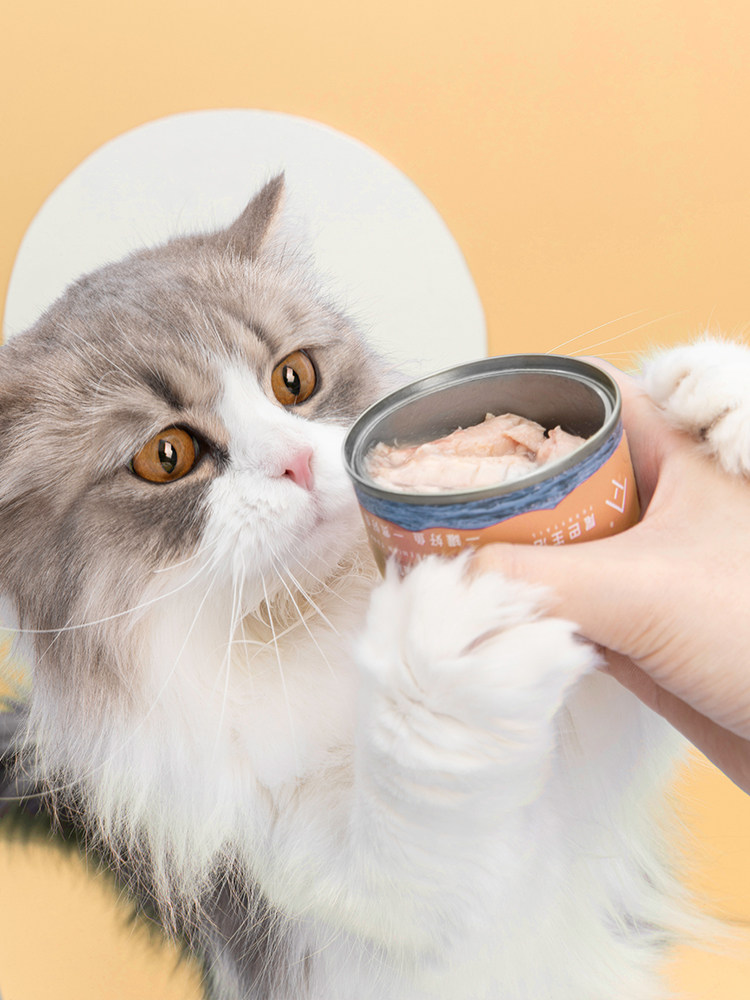 尾巴生活一罐好鱼24罐猫罐头主食罐幼猫咪零食湿粮整箱营养增肥