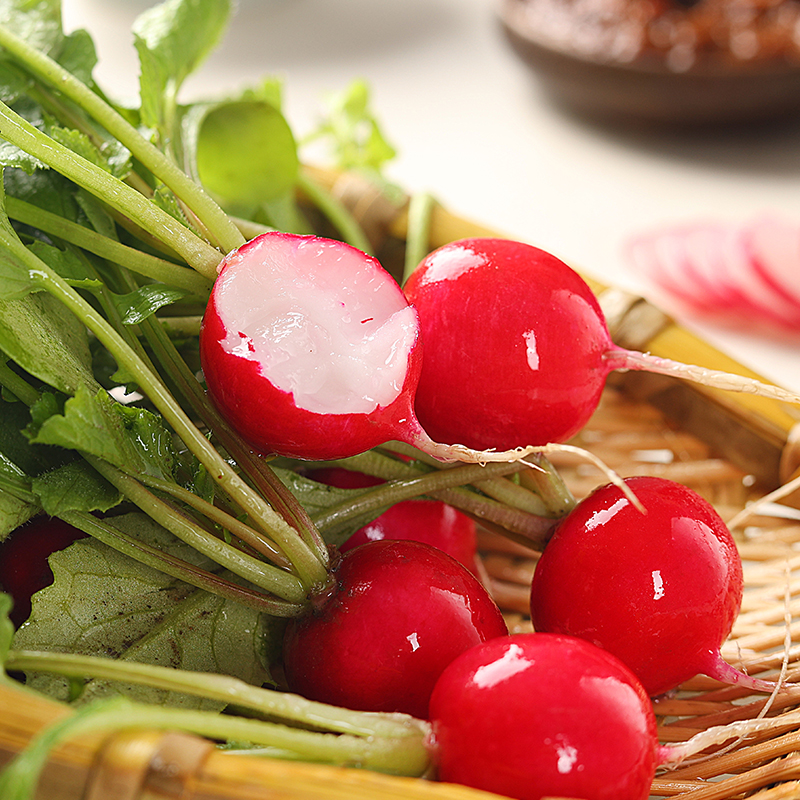 樱桃小萝卜红丁东北当季水果新鲜甜脆农家酱菜萝卜