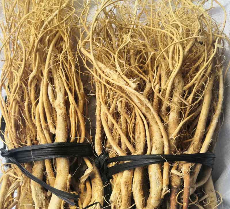 客家野石参根500g包邮福建虎尾梅州土特产纯天然其他药食同源食品