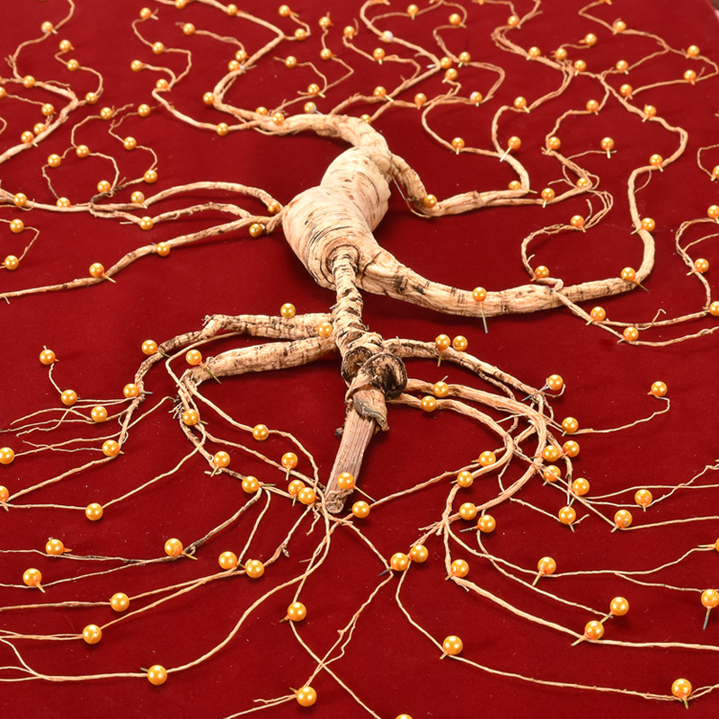 62年东北老人人参长白山野山参礼盒装送礼高档山参