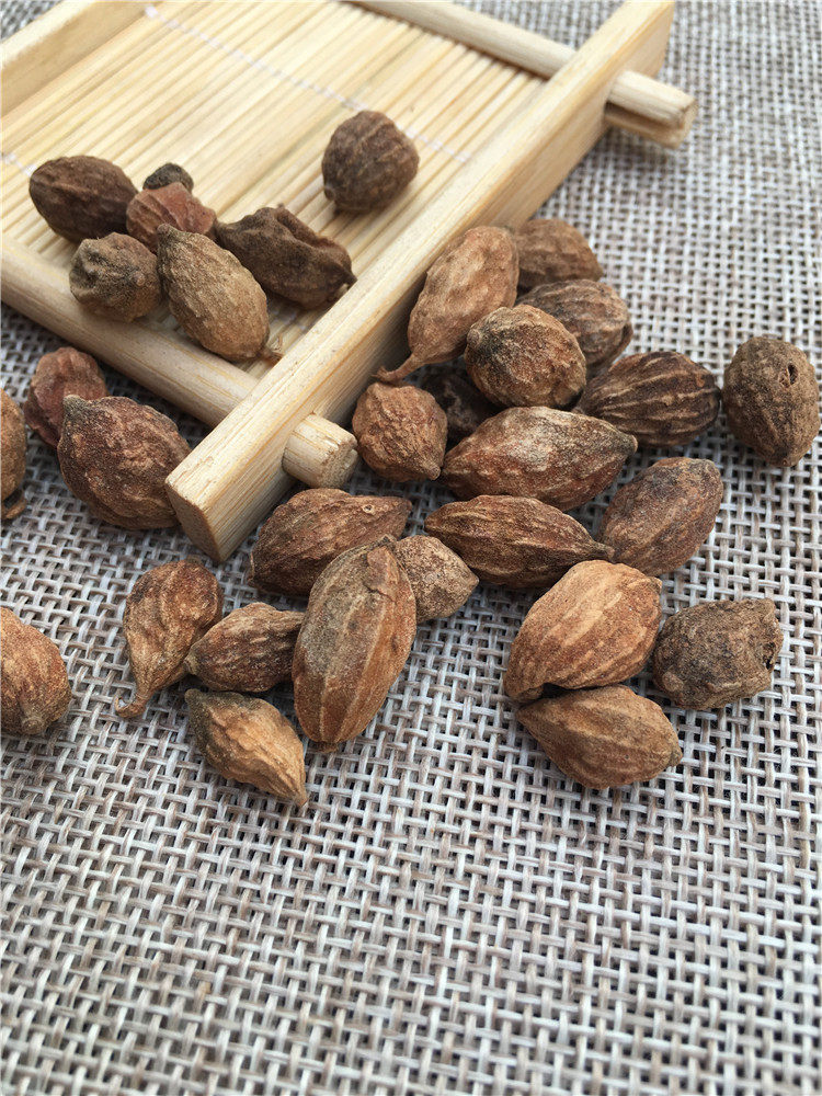 益智50克籽小砂仁天然无硫仁另远志伸筋其他药食同源食品