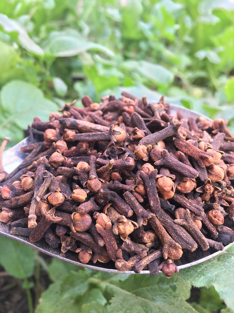 丁香香料大料50g调料大全八角桂皮花椒叶草花椒