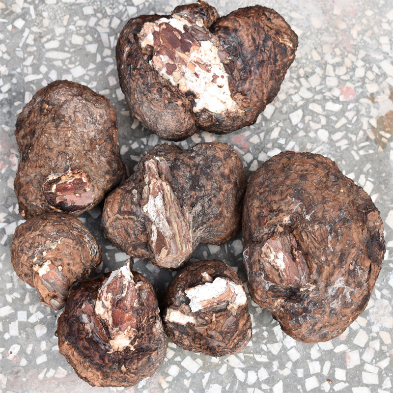 茯苓云南无硫中草药炖汤食用生切农家白茯苓野松根茯苓