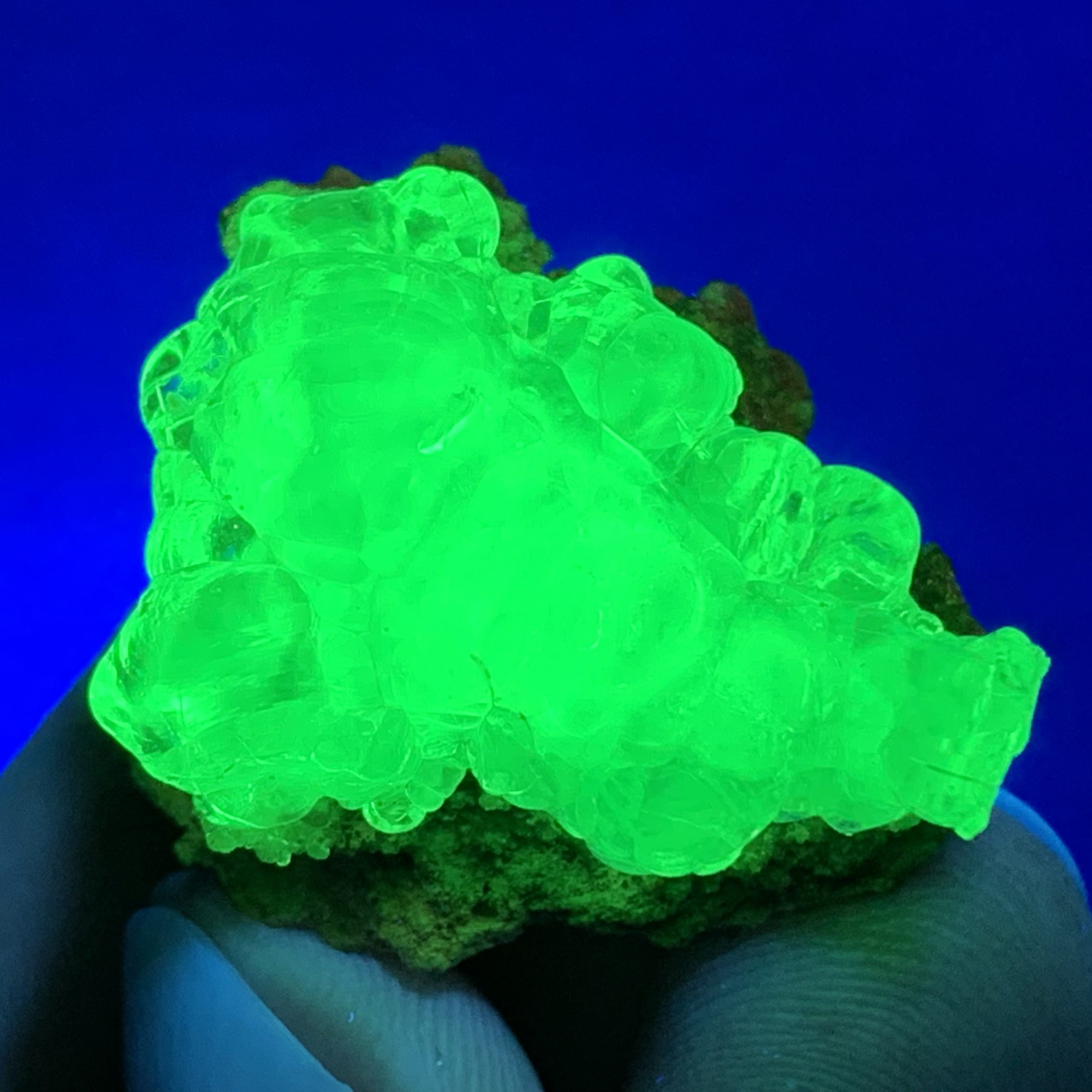 天然玉滴石荧光矿物绿色晶体原石矿石矿标宝石摆件