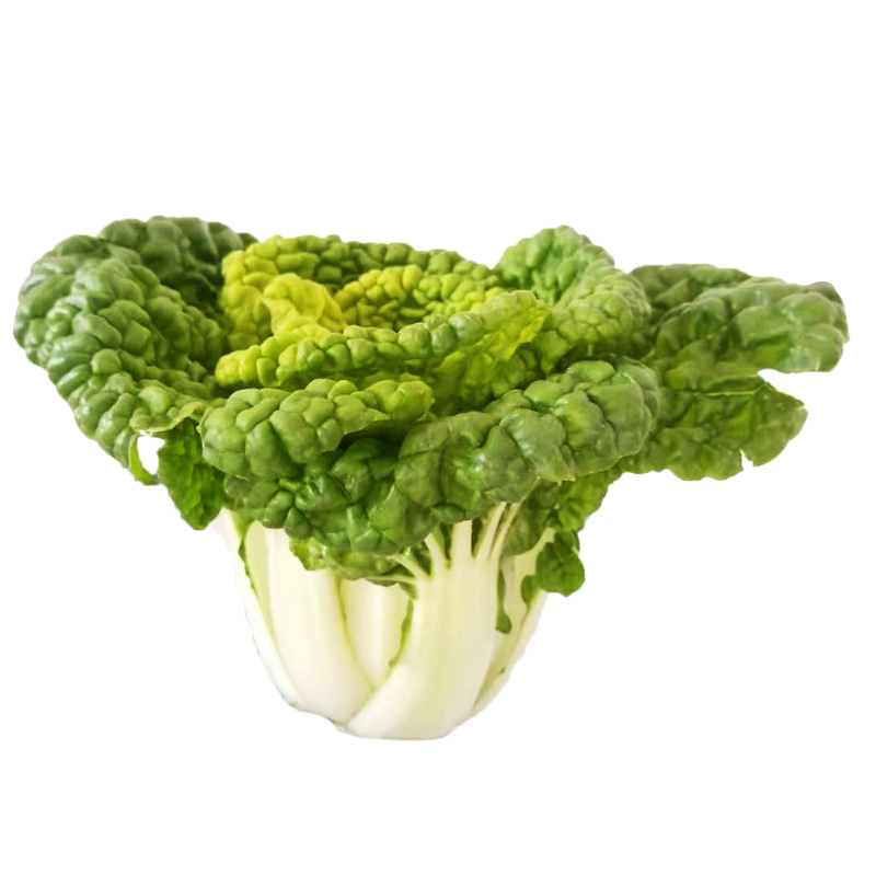 安徽特产霜冻黄心菜乌塌菜泡泡菜白菜黄心乌菊花叶菜类