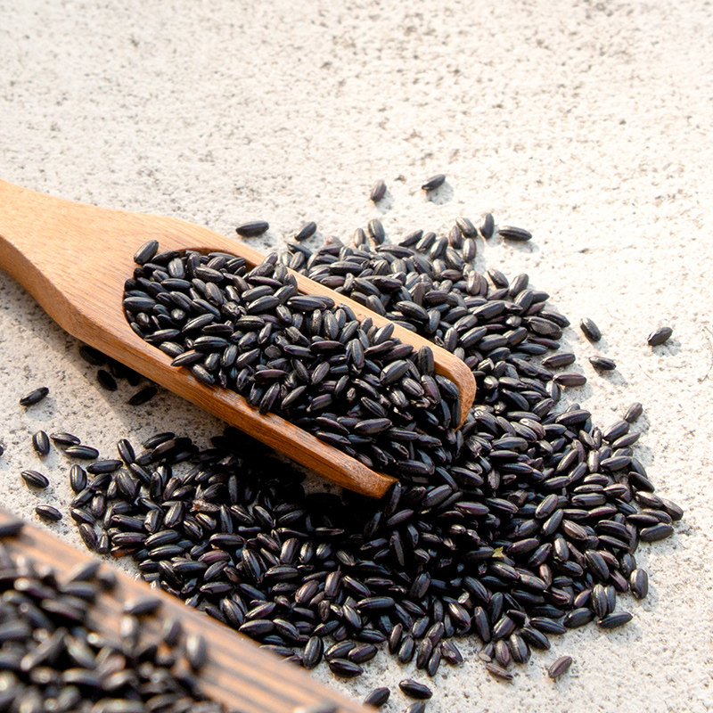 众恬黑米粥粗粮五谷杂粮东北黑香米新米5斤黑大米乌米批发包邮