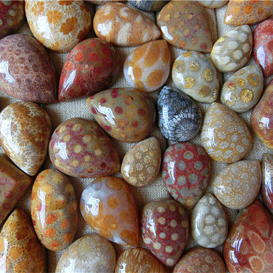 凤尾珊瑚天然菊花珊瑚石彩色玉化吊坠包邮项坠