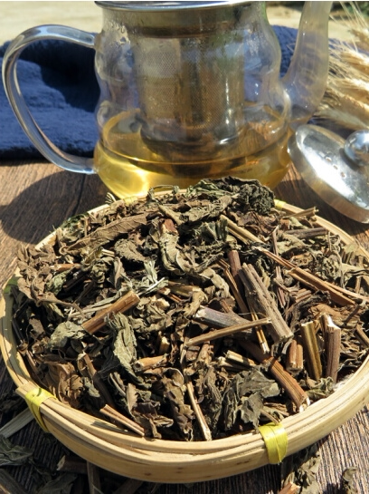 新鲜溪黄中药广东凉茶养生茶益肝薏湿茶包莓茶养生茶