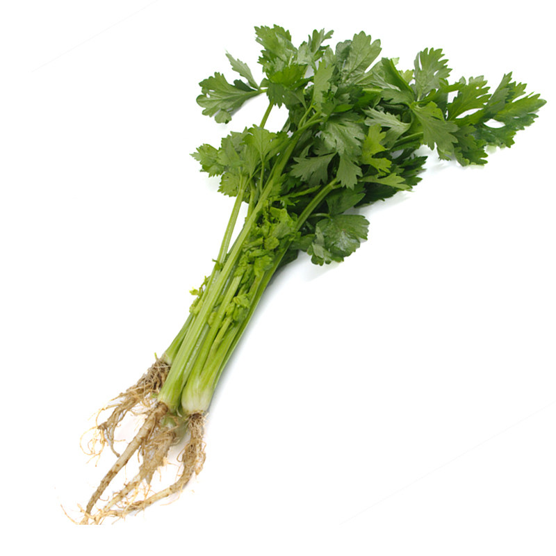 药芹芹菜500g情意绵绵黄芹新鲜蔬菜健康美食沃鲜汇菜市场生鲜