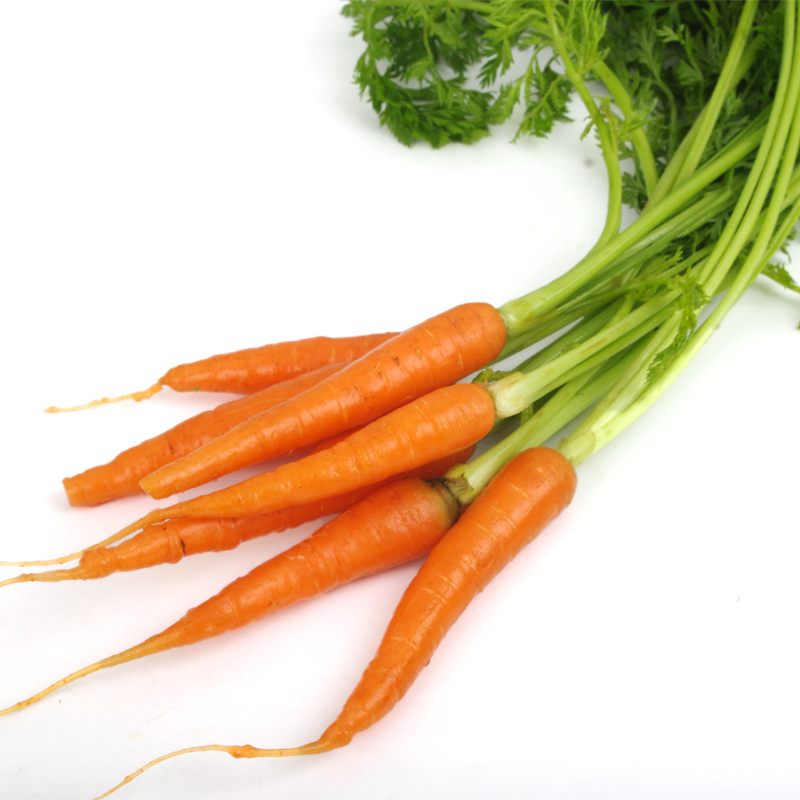 手指/迷你胡萝卜500g 农家新鲜蔬菜 宝宝辅食 沃鲜汇生鲜超市