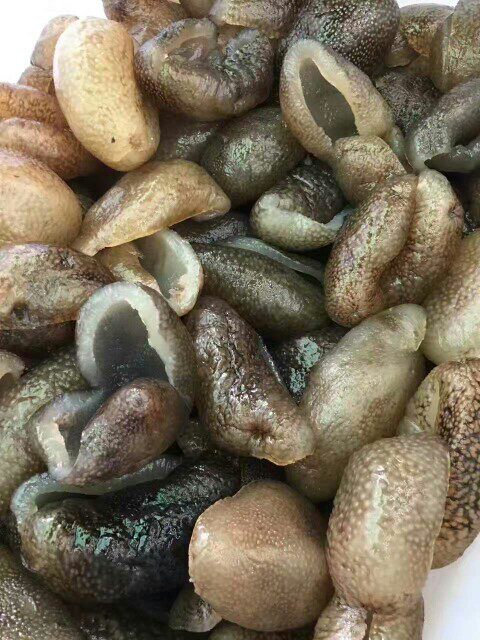 海参球参珍珠参乌元龙眼参园进口野生干货跳墙海参