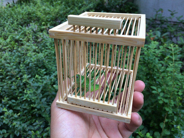 手工竹制鸣虫用具蝈蝈笼子蛐蛐蟋蟀动物宠物爬虫