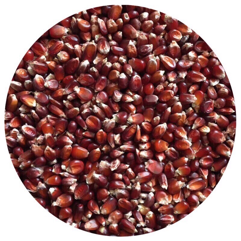 枭龙原厂直销红玉米高纤维素营养信赛鸽饲鸟食江浙沪皖包邮50斤