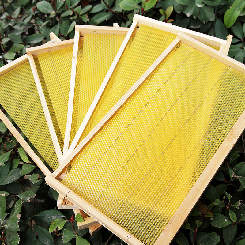 蜂箱中蜂养蜂工具全套蜜蜂箱中蜂养蜂工具养蜜蜂杉木煮蜡蜂箱包邮