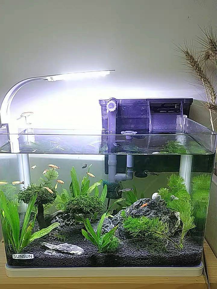 森森超白鱼缸客厅小型水族箱生态斗鱼金鱼缸草缸玻璃乌龟缸免换水