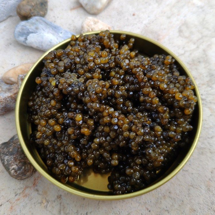 黑龙江野生鲟鳇鱼籽鳇鱼黑鱼鱼子酱食鱼籽酱100g手机保护套