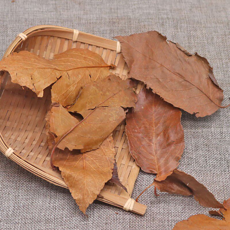 山楂叶广西广西野生叶茶无硫野茶叶新鲜干货无糖养生茶