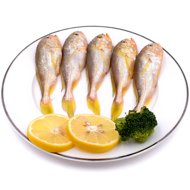 鲜外鲜小梅童鱼黄花鱼新鲜黄鱼海鱼鲜活鱼类生鲜整箱舟山海鲜水产