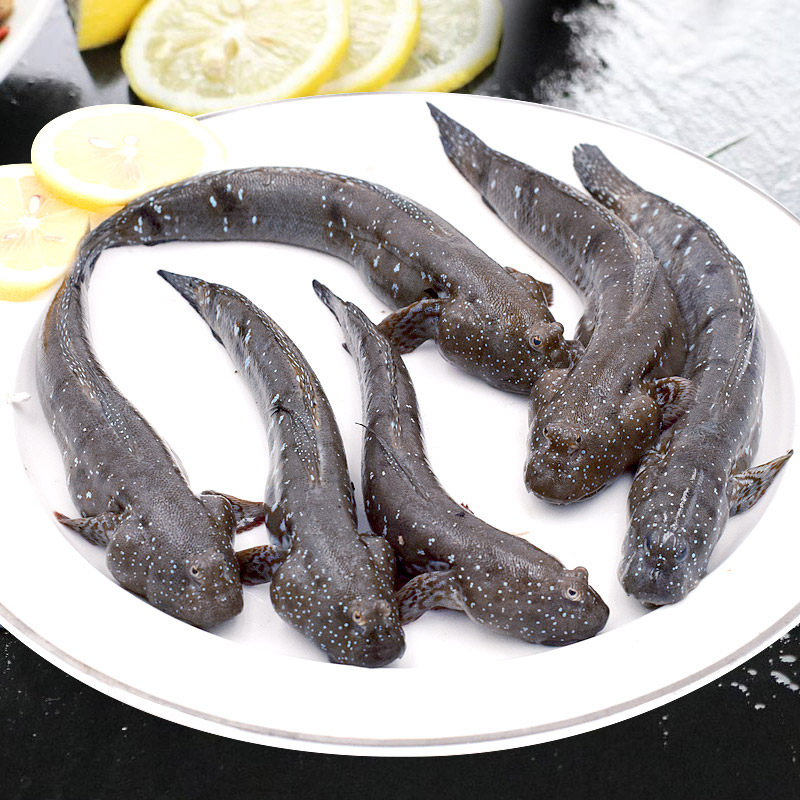 舟山新鲜跳跳鱼500g宁波弹涂滩涂鲜活浙江海鲜淡水鱼类