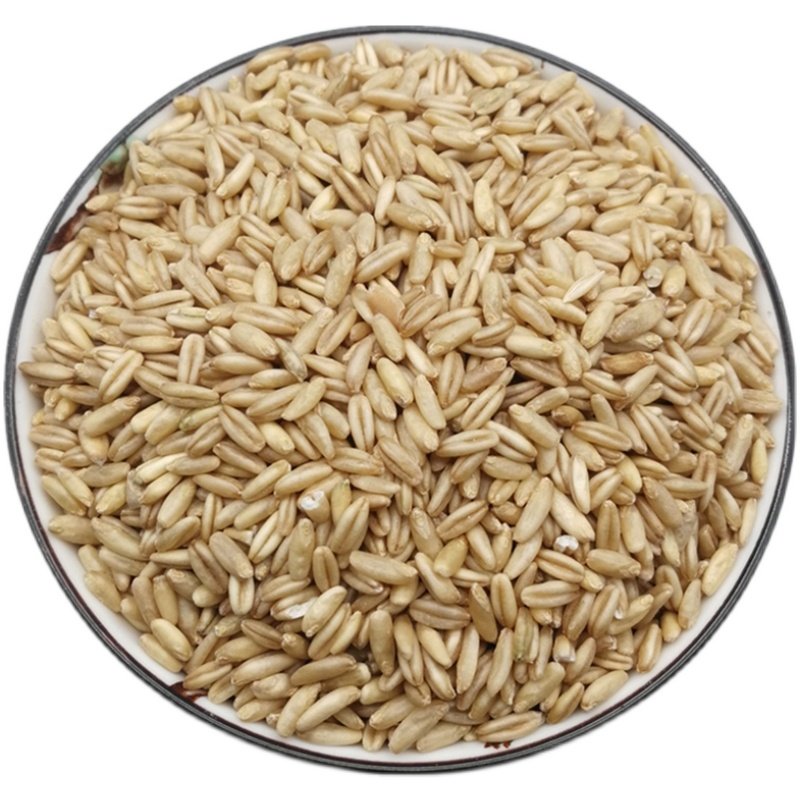 燕麦麦米5斤新货农家去壳野麦雀麦胚芽麦子其它粮食