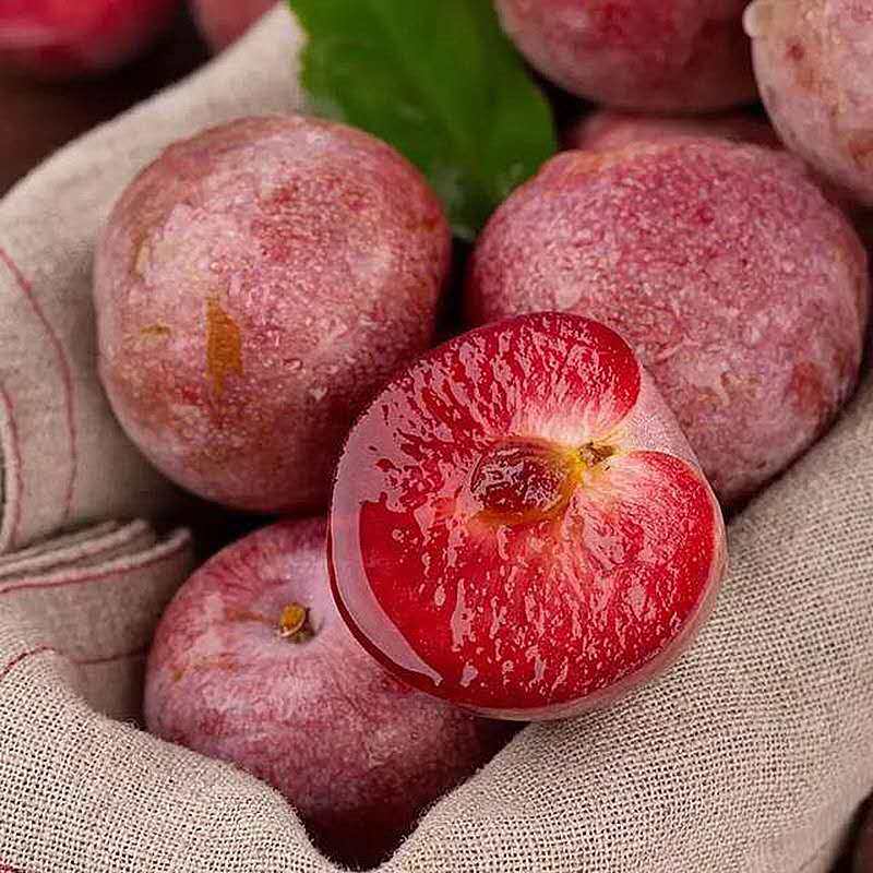 恐龙蛋新疆喀什味帝杏李果肉鲜红脆甜可口3斤李子