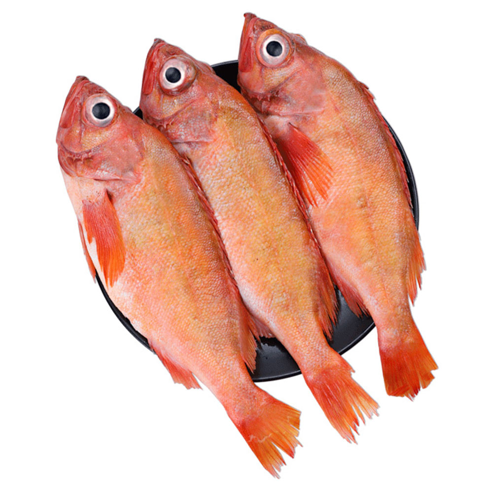 深海红石石斑鱼冷冻整条红鱼大龙龙胆富贵鱼海鱼斑鱼