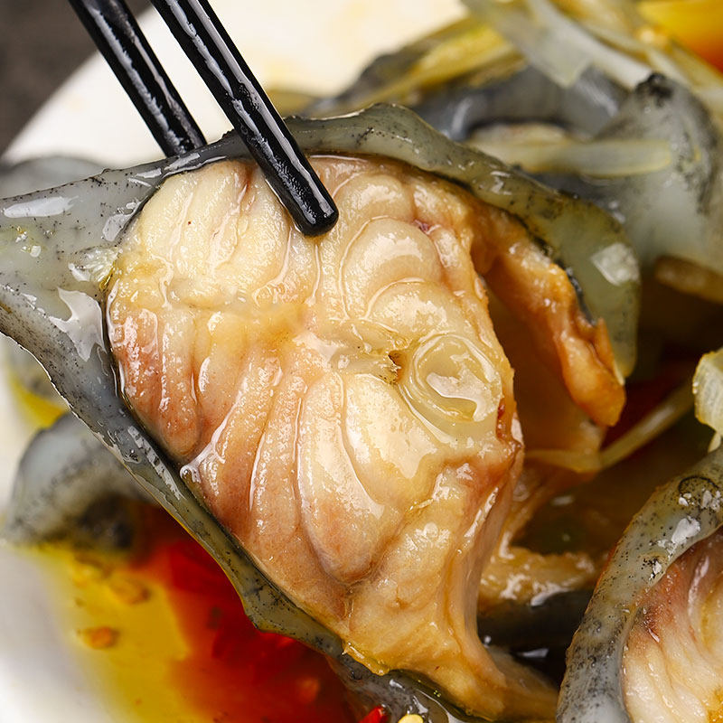 冰岛进口冷冻海鲜水产石斑鱼超大整条北极海参斑鱼