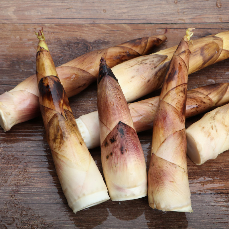 新鲜现挖高山羊毛笋竹笋腌笃鲜春笋5斤