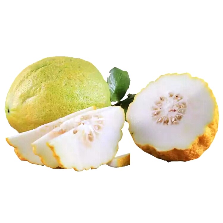 云南大理香橼新鲜佛手果农农家特产香圆鲜果佛手果