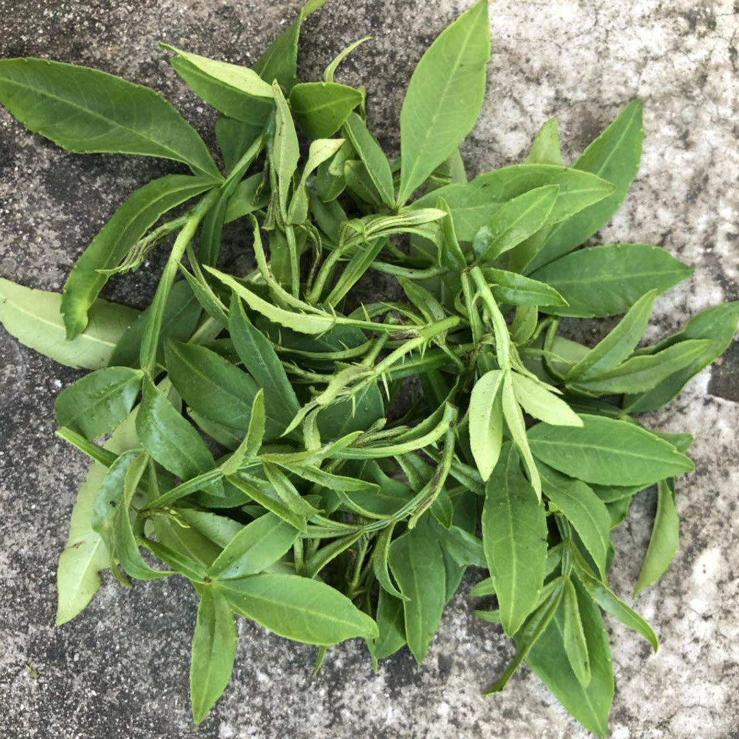 花椒农家现摘现发新鲜蔬菜野菜调味料250g花椒