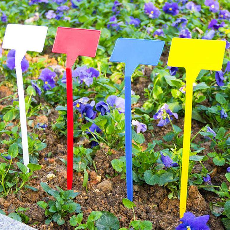 品种种植区牌子标识牌插牌插地塑料记号号牌盆景其它园艺用品