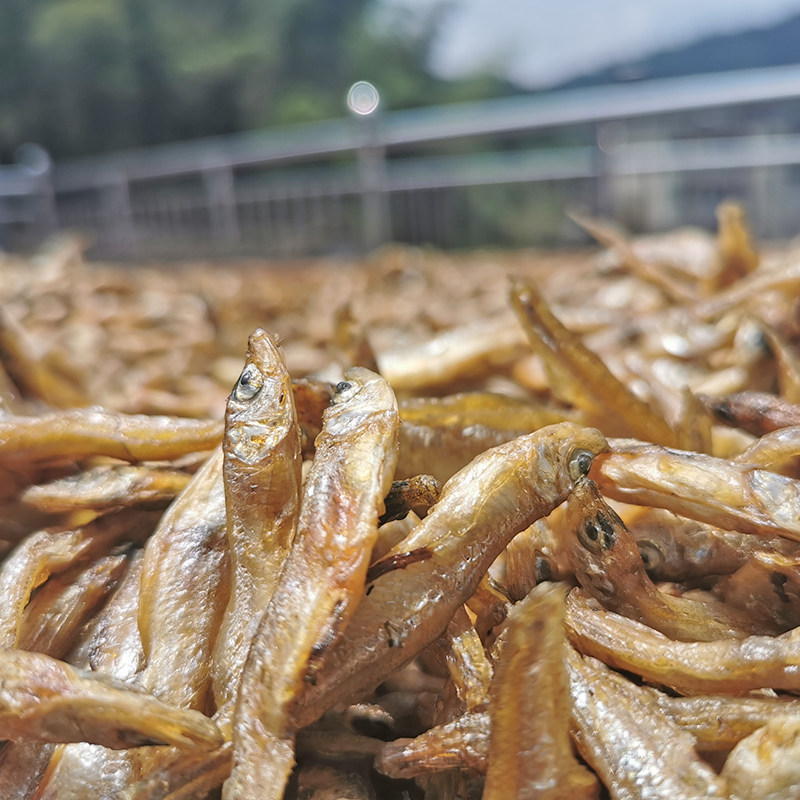 鱼干野生小鱼千岛湖农家特产溪水干货小溪淡水鱼鱼干