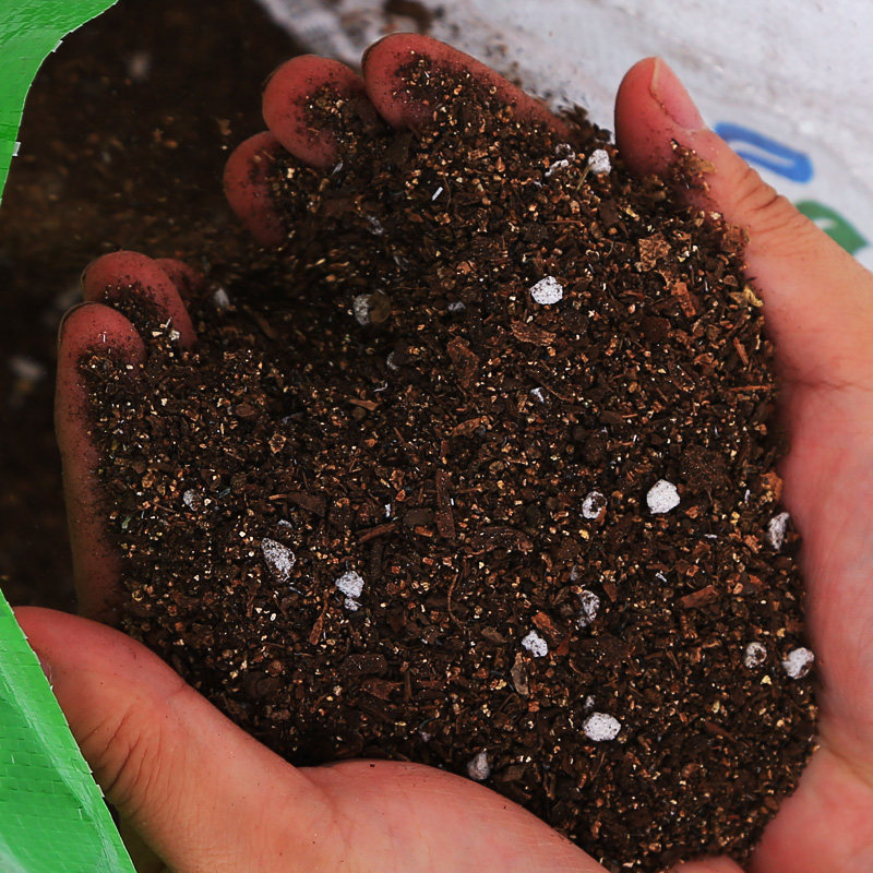 营养土养花通用型泥炭土花土家用多肉兰花君子兰养花土壤种植土