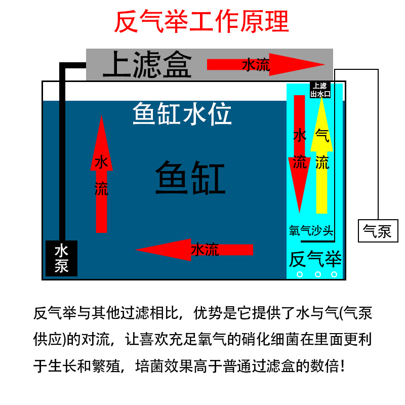 自制反气举过滤器diy鱼缸过滤桶滤材内置流化床滤筒上过滤净水器