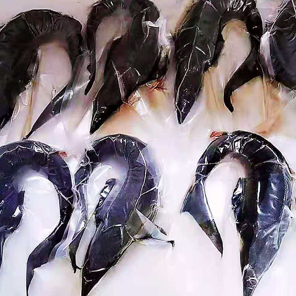 黑龙江美食东北速冻鲜活浮子七里特产大鳇黄鱼淡水鱼类