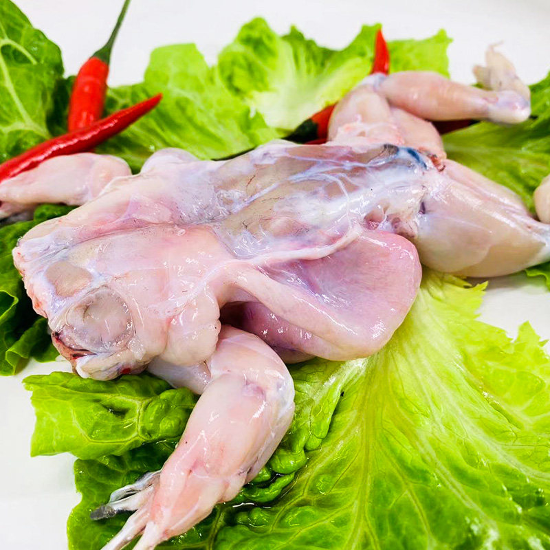 牛蛙鲜活新鲜牛蛙冷冻肉美味腿大牛蛙水产海鲜6斤