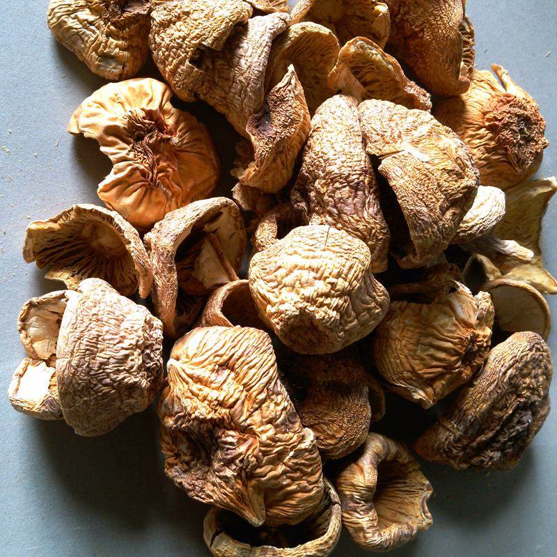 淅川首龙土特产野生姬松干货香菇菇类巴西蘑菇香菇类