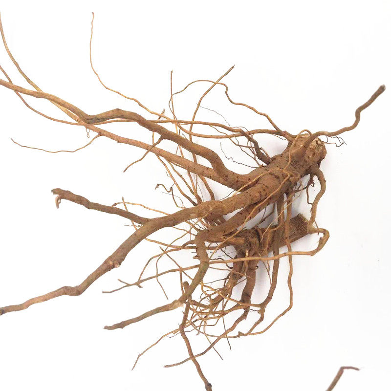 棉花农家原根过冬花的根头可切段中药材1斤包邮其他药食同源食品